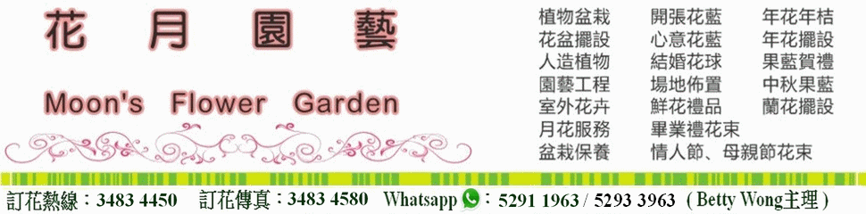 香港灣仔花店,花月園藝,Moon's Flower Garden,開張花藍，生日果藍，鮮花禮品，月花服務，盆栽保養，園藝工程，結婚花球